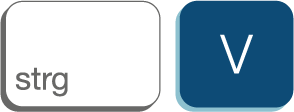strg+v logo